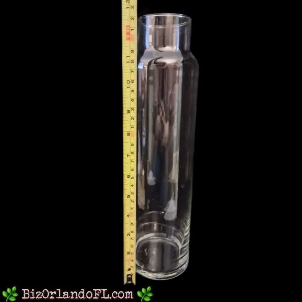 VINTAGE: Clear Tall Glass Cylinder Bottle Terrarium With Cork Stopper